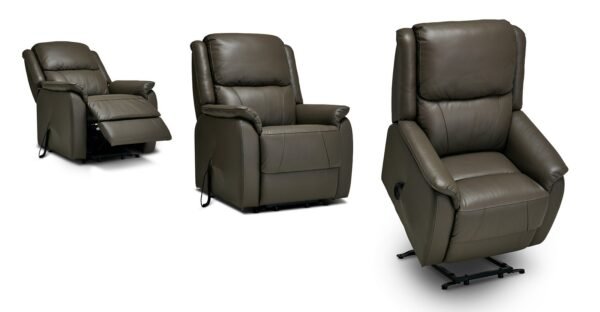 Pal Rise Leather Power Recliner Chair